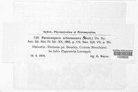 Image Associated With the Occurence